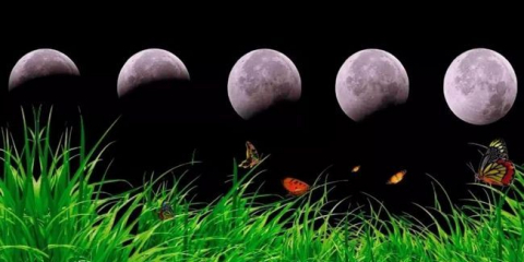 Měsíc setí kalendář zahradnictví a zahradník pro 2022, setí stolu